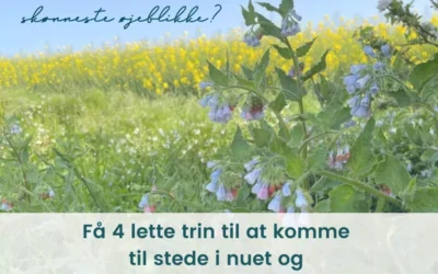 Kom tilstede i nuet og bliv mere nærværende