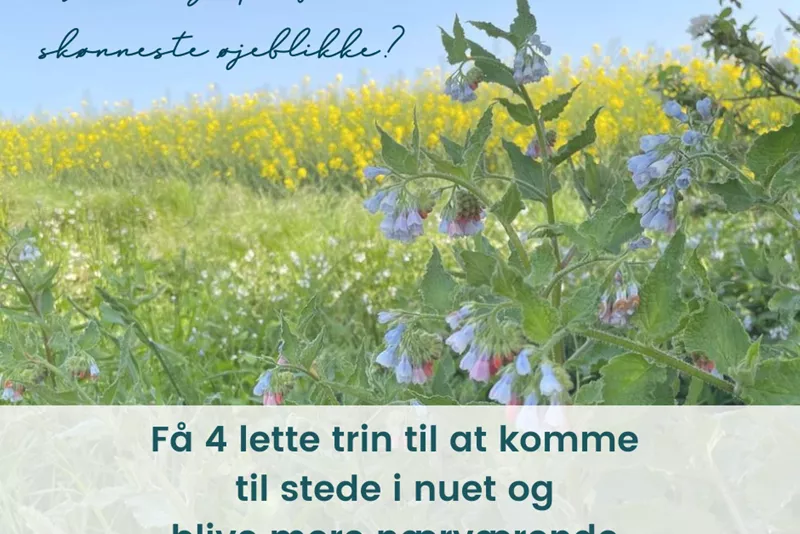 Kom tilstede i nuet og bliv mere nærværende